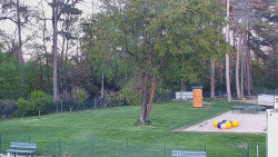 Beach volejbal
