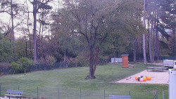 Beach volejbal