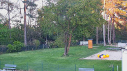 Beach volejbal