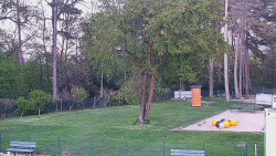 Beach volejbal