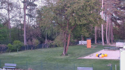 Beach volejbal