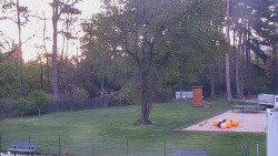 Beach volejbal