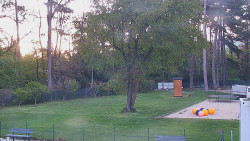 Beach volejbal