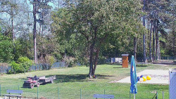 Beach volejbal