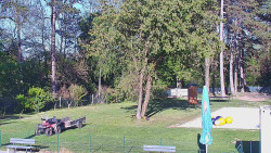 Beach volejbal