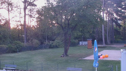 Beach volejbal