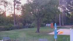 Beach volejbal