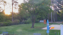 Beach volejbal