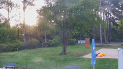 Beach volejbal