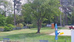 Beach volejbal