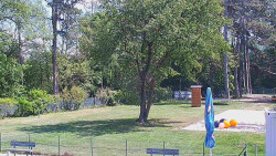 Beach volejbal