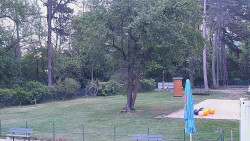 Beach volejbal