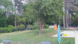 Beach volejbal