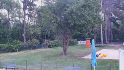 Beach volejbal