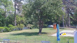 Beach volejbal