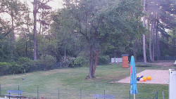 Beach volejbal