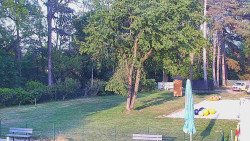 Beach volejbal
