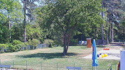 Beach volejbal