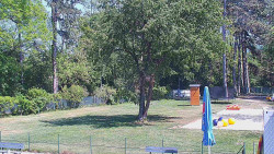 Beach volejbal