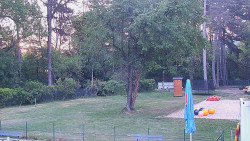 Beach volejbal