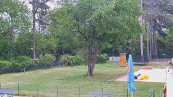 Beach volejbal