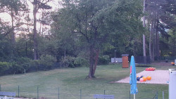 Beach volejbal