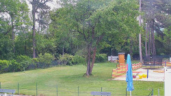 Beach volejbal