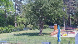 Beach volejbal