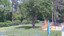 Beach volejbal