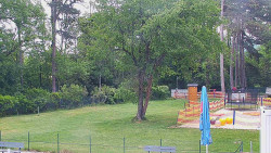 Beach volejbal