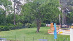 Beach volejbal