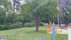 Beach volejbal