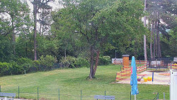 Beach volejbal