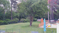 Beach volejbal