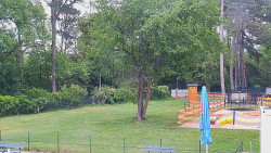 Beach volejbal