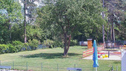 Beach volejbal