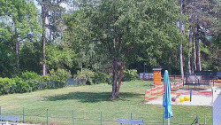 Beach volejbal