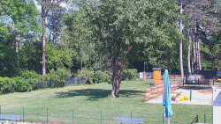 Beach volejbal