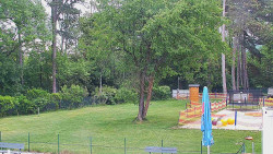 Beach volejbal
