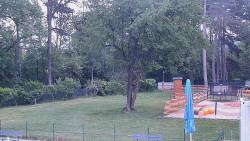 Beach volejbal