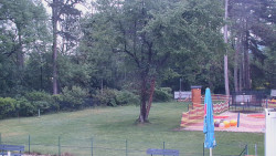 Beach volejbal