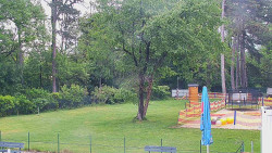 Beach volejbal