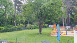 Beach volejbal