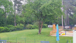 Beach volejbal