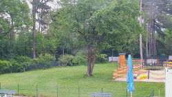 Beach volejbal
