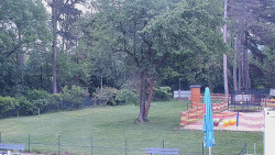 Beach volejbal