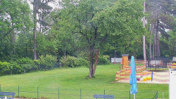 Beach volejbal
