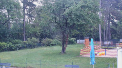 Beach volejbal