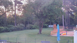 Beach volejbal