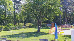 Beach volejbal